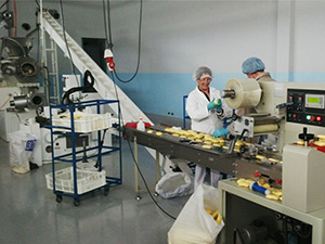 500 千克/小時 香皂生產(chǎn)線--厄瓜多而